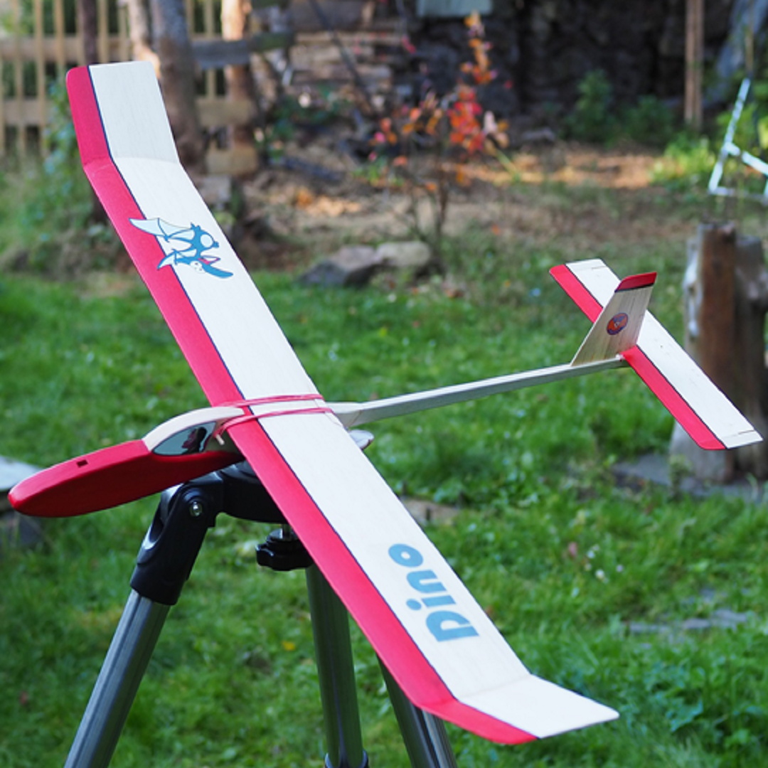 Hiesbok Mini DINO Entry Level, Multi-Purpose Model Glider Kit